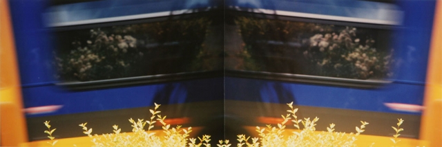 trans-passage 10, 2006, assembled photographs, 8" x 24" © Ryan Horvath